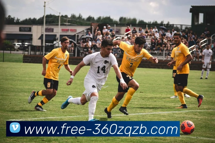 多媒体互动体验